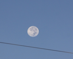 full moon (640x524) copy