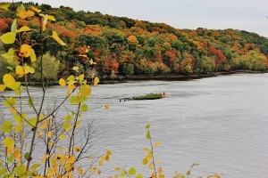 River St Croix and deer 012 (640x427)