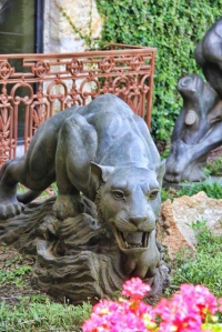 lion front view (427x640)