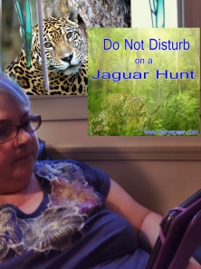 Terree Nelson Lyman reading Jaguar Hunt copy