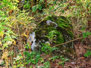 moss stone (640x480)