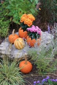 pumpkin flower planter (427x640)