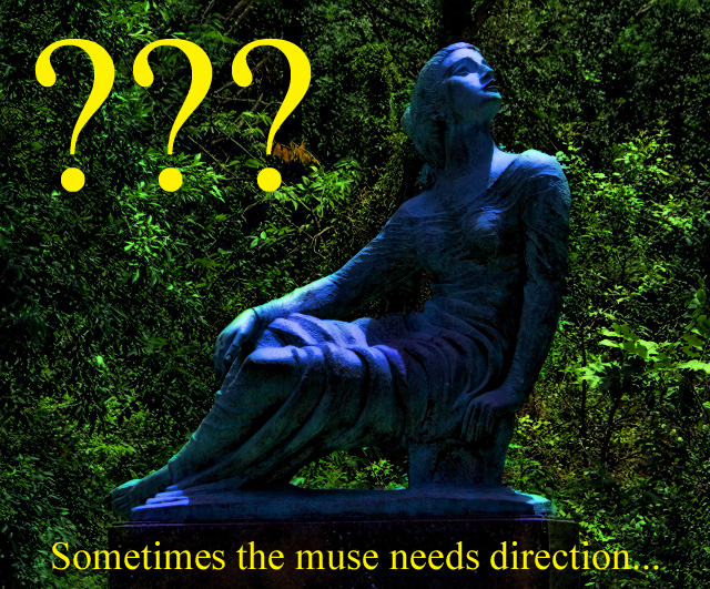 muse needs direction (640x531)