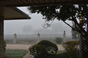 Somewhere in the fog, there is a house.