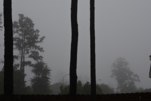 fog 004 (640x427)