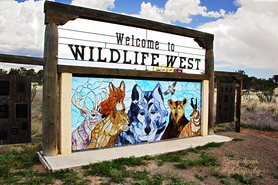 wildlife-west-zoo-stained-glass-sign-899